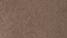 Mohawk Smartstrand Height Of Style II Desert 3L31-856