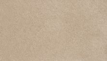 Mohawk Smartstrand Coral Key II Champagne Beige 3L33-739