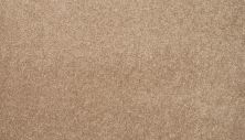 Mohawk Smartstrand Coral Key II Deer Valley 3L33-822