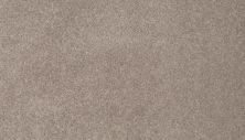 Mohawk Smartstrand Coral Key II Iron Wood 3L33-849