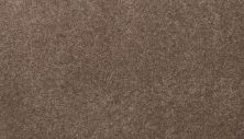 Mohawk Smartstrand Coral Key II Russet 3L33-866
