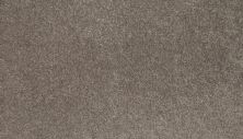 Mohawk Smartstrand Coral Key II Cinder Block 3L33-947