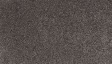 Mohawk Smartstrand Coral Key II Graphite 3L33-985