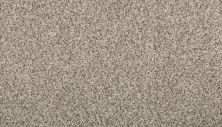 Mohawk Everstrand Renovate I Silver Dollar 3L34-2