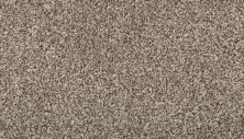 Mohawk Everstrand Renovate I Quiet Light 3L34-6