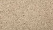 Mohawk Everstrand Renovate I Rice Cake 3L34-9