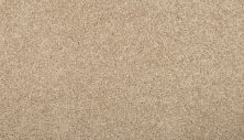 Mohawk Everstrand Renovate II Sugar Cookie 3L35-5