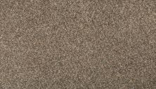 Mohawk Everstrand Renovate II Winter Ash 3L35-8