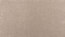 Mohawk Smartstrand Creative Outlet I Vintage Taupe 3L65-937