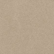 Mohawk Smartstrand Clever Mind II Light Antique 3L69-768