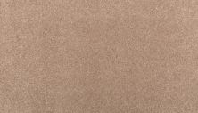 Mohawk Smartstrand Clever Mind II Cattail 3L69-838