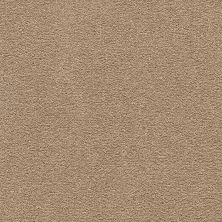 Mohawk Smartstrand Clever Mind II Spiced Tea 3L69-864