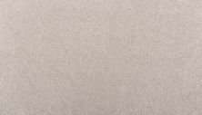 Mohawk Smartstrand Clever Mind II Polished Nickel 3L69-947