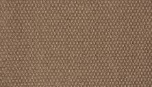 Mohawk Smartstrand Vintage Manner Cuppa Joe 3L90-859