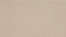 Mohawk Everstrand Delightful Saga I Ivory Mist 3L96-707