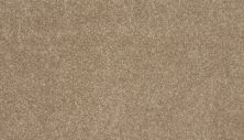 Mohawk Everstrand Delightful Saga I Pale Birch 3L96-728