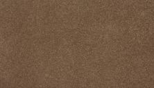 Mohawk Everstrand Delightful Saga I Silken Sable 3L96-857