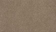 Mohawk Everstrand Delightful Saga I Camel Stone 3L96-864