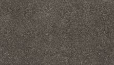 Mohawk Everstrand Delightful Saga I Tranquil Driftwood 3L96-969