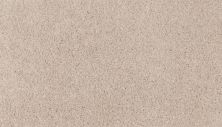 Mohawk Smartstrand Natural Purpose Cookie Crumble 3M01-712