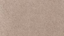 Mohawk Smartstrand Natural Purpose Buffed 3M01-728