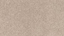 Mohawk Smartstrand Classic Voice Polished Tan 3M02-821