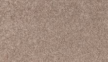 Mohawk Smartstrand Classic Voice Sumatra Blend 3M02-852