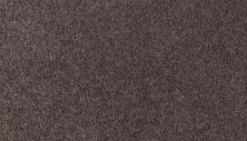 Mohawk Smartstrand Summer Evening Smoke Cloud 3M13-872