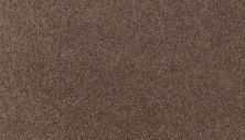 Mohawk Smartstrand Summer Evening Deep Fudge 3M13-888
