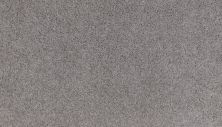 Mohawk Smartstrand Summer Evening Winter Twill 3M13-962