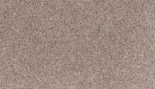 Mohawk Smartstrand Summer Nights Mink 3M15-742