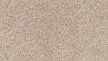 Mohawk Smartstrand Summer Nights Polished Tan 3M15-821
