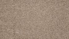 Mohawk Smartstrand Silk Noble Space Scroll 3M20-730