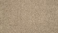 Mohawk Smartstrand Silk Noble Space Shorescape 3M20-742