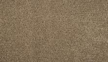 Mohawk Smartstrand Silk Noble Space Halo 3M20-760