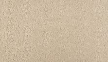 Mohawk Smartstrand Mineral Earth Aspen 3M31-732