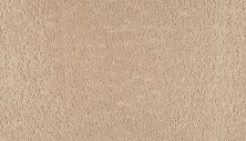 Mohawk Smartstrand Mineral Earth Granite 3M31-743