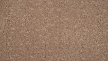 Mohawk Smartstrand Mineral Earth Clay 3M31-765