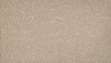 Mohawk Smartstrand Mineral Earth Zinc 3M31-816