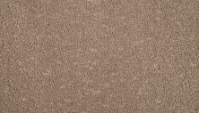 Mohawk Smartstrand Mineral Earth Copper 3M31-857