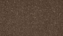 Mohawk Smartstrand Mineral Earth Sequoia 3M31-874