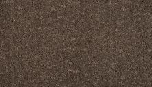 Mohawk Smartstrand Mineral Earth Walnut 3M31-888