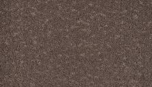 Mohawk Smartstrand Mineral Earth Mahogany 3M31-987