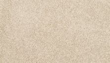 Mohawk Petpremier Diffurent Choice II Frosted Almond 3M42-702