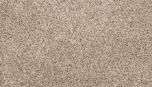 Mohawk Petpremier Diffurent Choice II Frosty Spice 3M42-769