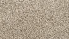 Mohawk Petpremier Diffurent Choice II Soapstone 3M42-837