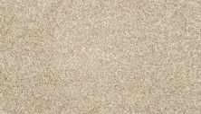 Mohawk Petpremier Diffurent Choice III Coconut 3M43-707