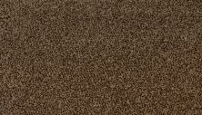 Mohawk Everstrand King Of Hearts Mocha Brown 3M45-866