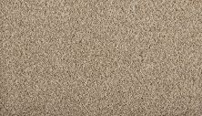 Mohawk Smartstrand Reviving I Boulder Beige 3N26-767