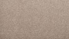 Mohawk Everstrand Meridian Smokey Taupe 3N32-829